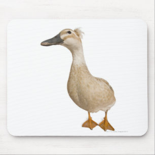 Tapis De Souris Canard crêté femelle, 3 années