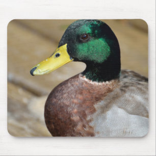 Tapis De Souris Canard de Mallard