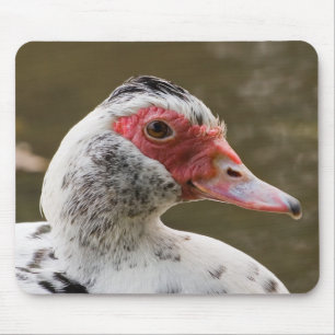 Tapis De Souris Canard de Muscovy Mousepad