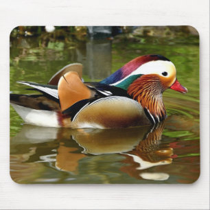 Tapis De Souris Canard mandarin