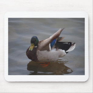 Tapis De Souris Canard masculin de Mallard