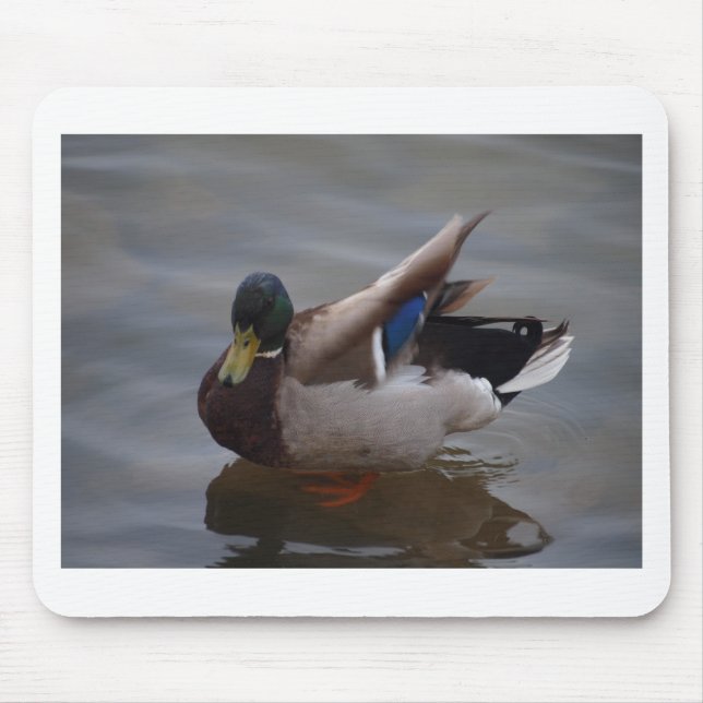 Tapis De Souris Canard masculin de Mallard (Devant)