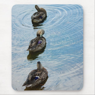 Tapis De Souris Canards dans une rangée