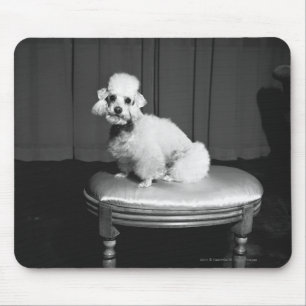Tapis De Souris Caniche blanc se reposant sur les selles B&W