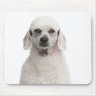 Tapis De Souris Caniche (de 1 an)