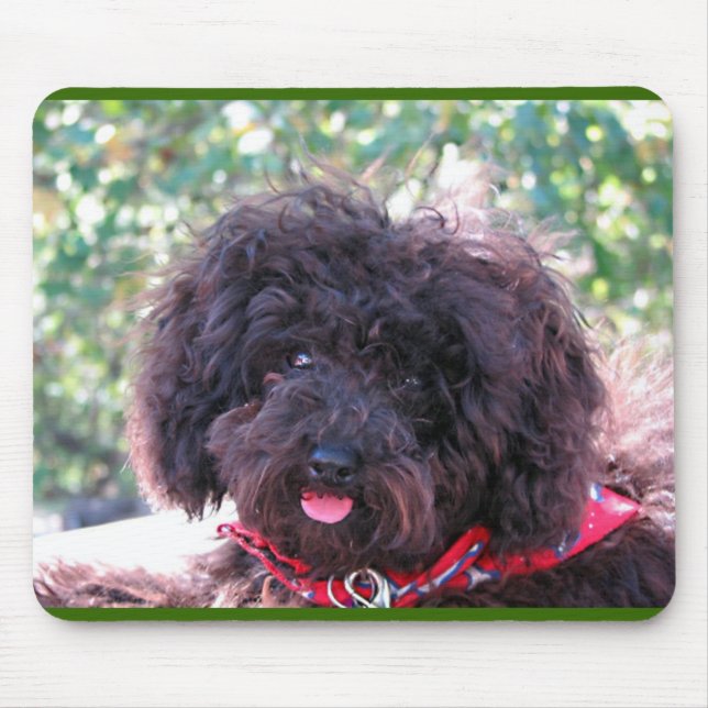 Tapis De Souris Caniche miniature noir - JoJo (Devant)