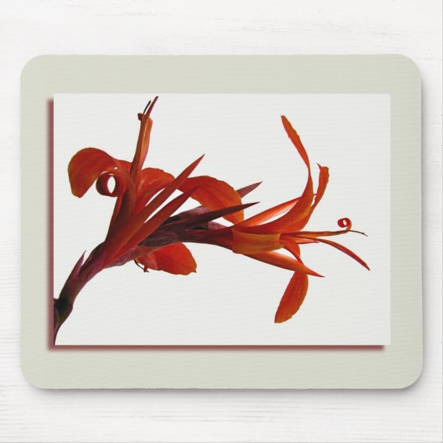 Tapis De Souris Canna Mousepad (Devant)