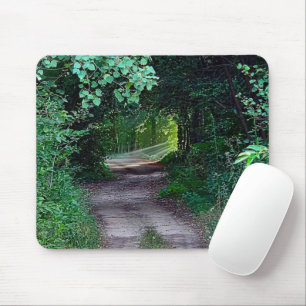 Tapis De Souris Canopée En Bois Avec Poutres De Soleil Sur Le Chem