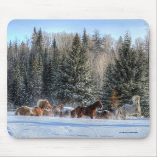 Tapis De Souris Cantonnement, Chevaux de course en hiver Photo nei