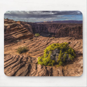 Tapis de souris Canyon Resilience