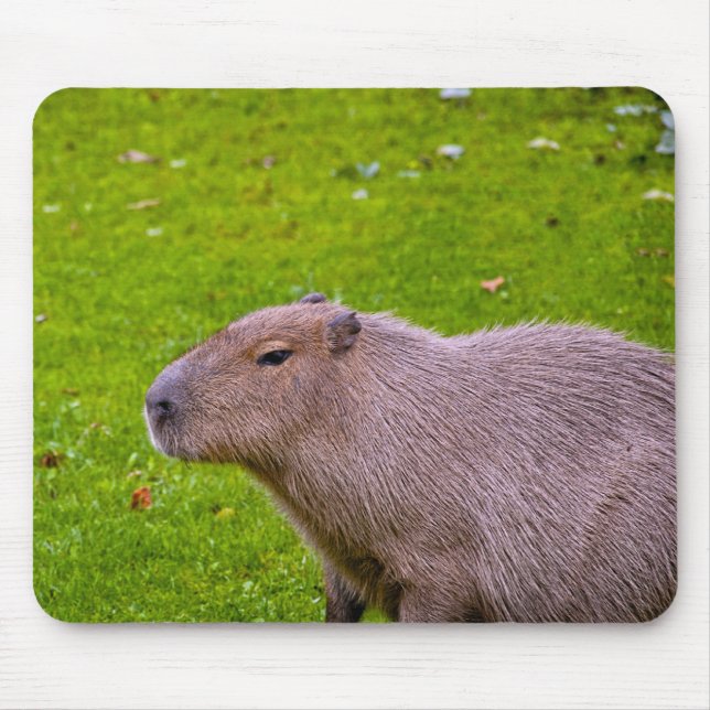 Tapis de souris Capybara (Devant)