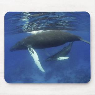 Tapis De Souris Caraïbes, archipel des Grandes Antilles,
