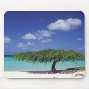 Tapis De Souris Caraïbes, Aruba. Plage Eagle