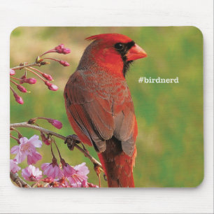 Tapis De Souris Cardinal du nord 2