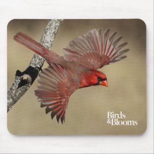 Tapis De Souris Cardinal du nord en vol