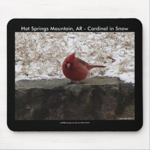 Tapis De Souris Cardinal Hot Springs Parc Nat Mt AR Cadeaux Vêteme