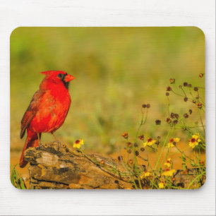 Tapis De Souris Cardinal mâle sur une bûche