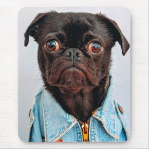Tapis De Souris Carlin en Denim Jackey Cute Adorable Chien Chien C