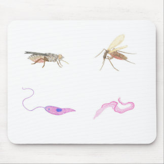 Tapis De Souris Carpette parasitologie/Parasitology mat
