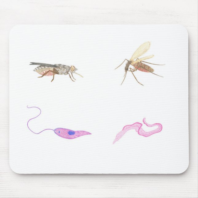 Tapis De Souris Carpette parasitologie/Parasitology mat (Devant)