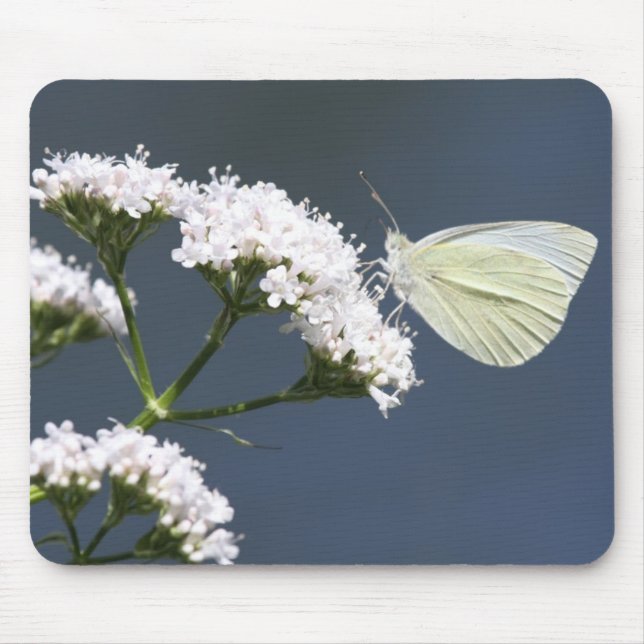 Tapis De Souris Carte de souris blanche Wingder Wonder (Devant)