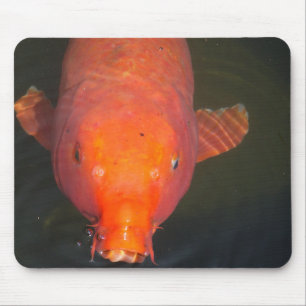 Tapis De Souris Carte postale Poisson Orange Koi
