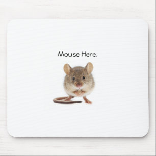 Tapis De Souris Carte souris cool