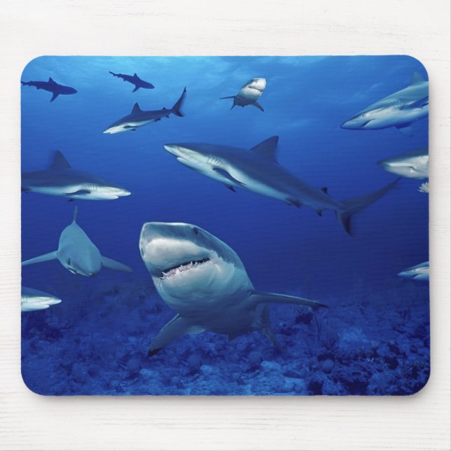 Tapis De Souris Carte souris requins (Devant)