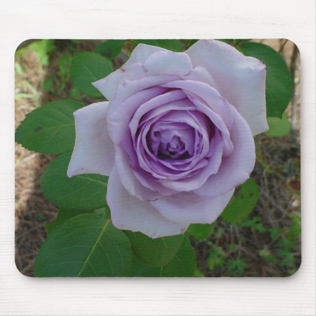 Tapis De Souris Carte souris Rose simple violet (Devant)