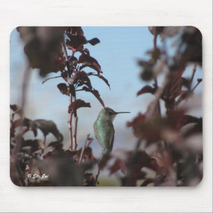 Tapis De Souris Cartouche de souris d'oiseau