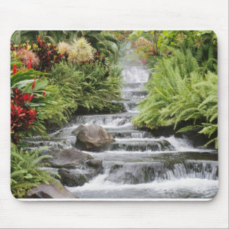 Tapis De Souris Cascade