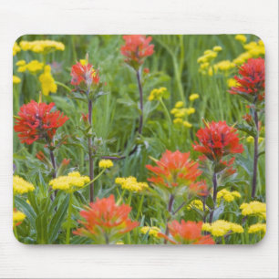 Tapis De Souris Castilleja et biscuitroot fleurs sauvages