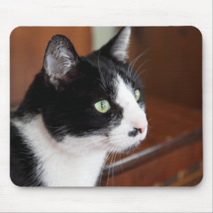 Tapis De Souris Cat