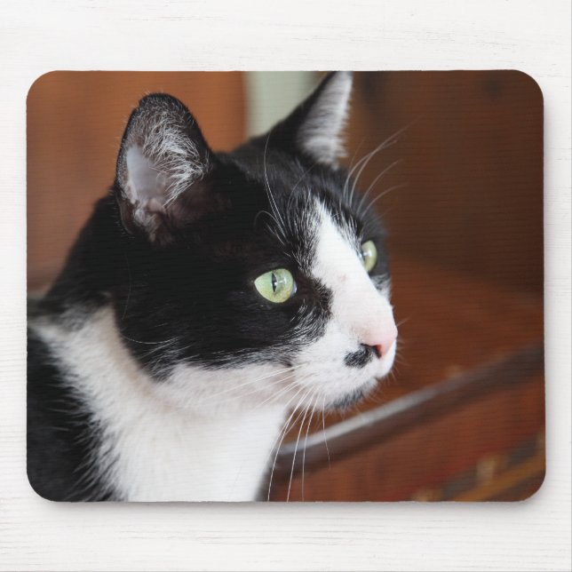Tapis De Souris Cat (Devant)
