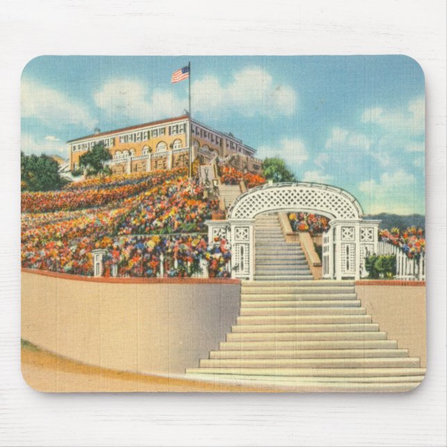 Tapis De Souris Catalina (Devant)