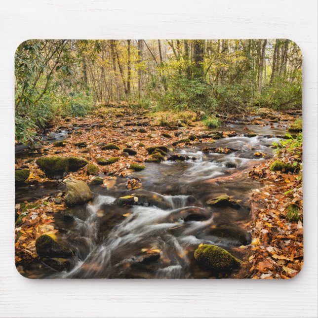 Tapis De Souris Cataloochee Creek NC Great Smoky Mountains (Devant)