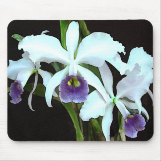 Tapis De Souris Cattleyas fantomatique