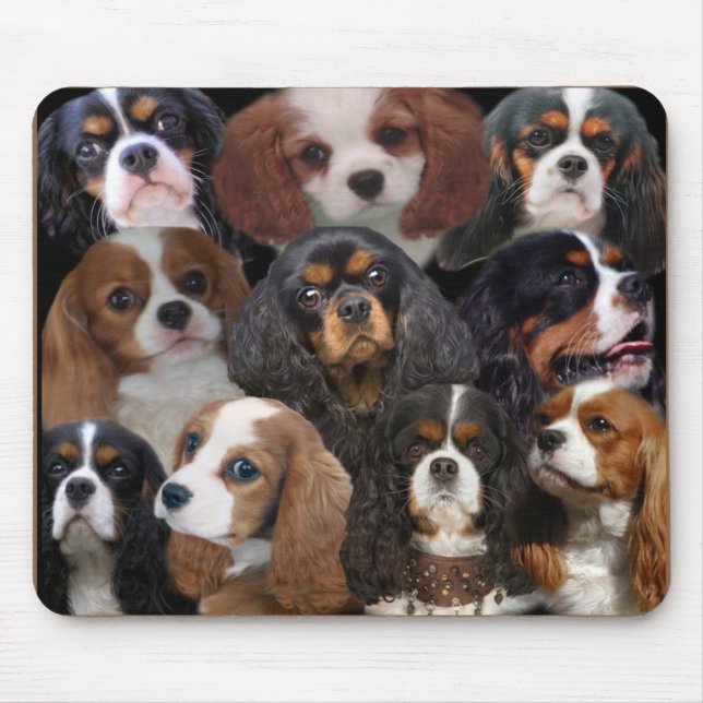 Tapis De Souris Cavalier King Charles mousepad (Devant)