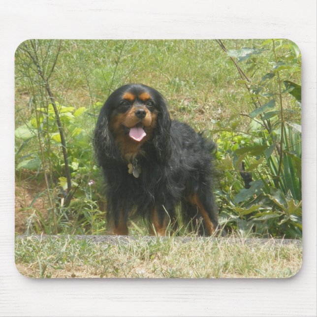Tapis De Souris Cavalier King Charles Spaniel (Devant)