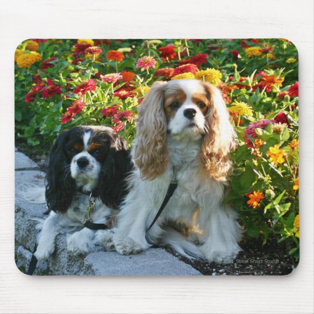 Tapis De Souris Cavaliers et Zinnias Mousepad (Devant)