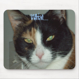 Tapis De Souris Ce qui….