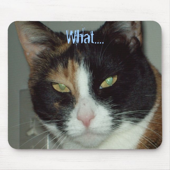 Tapis De Souris Ce qui…. (Devant)