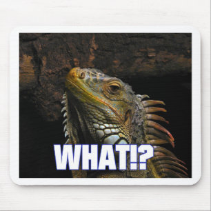 Tapis De Souris Ce qui ! ? Iguane