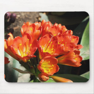 Tapis De Souris Célébrez