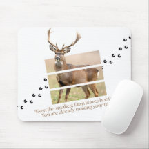 Cerf de l'âme de la forêt