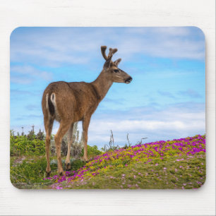 Tapis de souris Cerf Faune et Flore Côtière