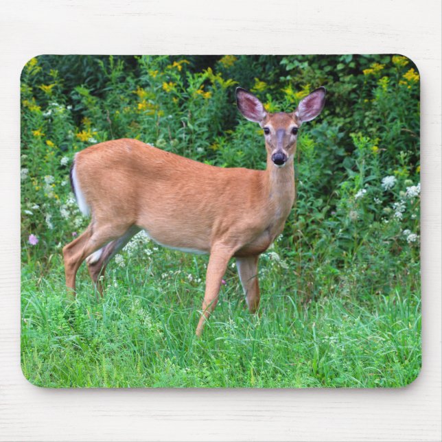 Tapis De Souris Cerf féminin à queue blanche (Devant)