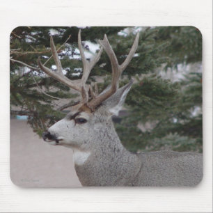 Tapis De Souris Cerf mulet mâle D25