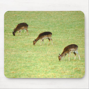 Tapis De Souris cerfs communs 2