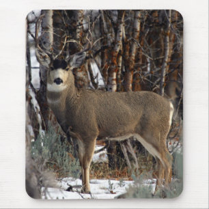 Tapis De Souris Cerfs communs de mule, wellsville